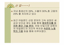 [경제발전론] 아일랜드-14