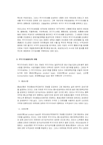 [경제정책론] 부가가치세-4