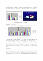 [소비자행동분석] 인라인스케이트에 대한 소비자 안전행동 조사 보고서-8