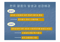 [국제통상] 한류를 이용한 국내기업의 중국진출전략-6