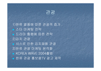 [국제통상] 한류를 이용한 국내기업의 중국진출전략-19