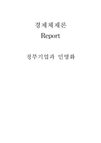 [경제체제론] 정부기업과 민영화-16