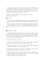 [무역실무] 썬캡 중남미시장 수출-8
