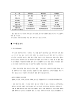 [관광브랜드] 테마파크 `에버랜드`분석-7