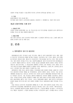 [관광마케팅] 중국의 한류열풍을 통한 마케팅사례 및 발전방향-3