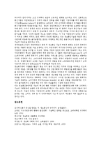 정보혁명의 개념, 정보혁명의 특징과 정보혁명의 발달, 정보혁명의 현황 및 정보혁명의 쟁점 그리고 정보혁명의 전망, 정보혁명의 시사점 분석-7