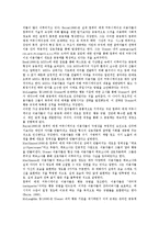 컴퓨터매개커뮤니케이션(CMC,컴퓨터매개통신)개념,특징, 컴퓨터매개커뮤니케이션(CMC,컴퓨터매개통신)목적,변화, 컴퓨터매개커뮤니케이션 문제점,제언-6