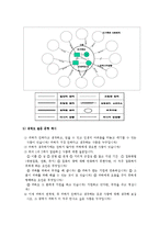 (A+, 사회복지사) 가계도와 생태도 작성법 및 구체적인 예시-8
