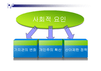 저출산 원인과 문제점분석및 해결방안-12
