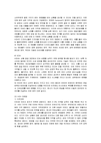 [경영전략] IKEA의 핵심역량과 마케팅 분석-9
