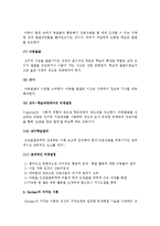 (A+, 인지발달이론) 피아제의 구성주의, 비고스키의 사회문화적 발달이론, 가드너의 다지능이론 요약-4
