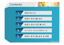 [국제경영론] IT솔루션 업체의 해외진출(XCE의 중국진출 사례)-2