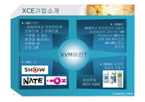 [국제경영론] IT솔루션 업체의 해외진출(XCE의 중국진출 사례)-4