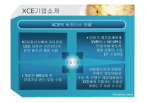 [국제경영론] IT솔루션 업체의 해외진출(XCE의 중국진출 사례)-5
