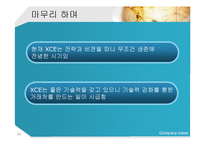 [국제경영론] IT솔루션 업체의 해외진출(XCE의 중국진출 사례)-20