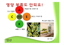 산모와 식생활 레포트-15