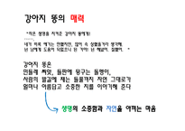 아동도서에 관한 고찰-13