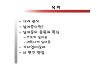 [언어의이해] 언어와 뇌, 그리고 실어증-2