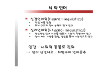 [언어의이해] 언어와 뇌, 그리고 실어증-4
