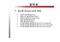 [언어의이해] 언어와 뇌, 그리고 실어증-11