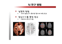 [언어의이해] 언어와 뇌, 그리고 실어증-19
