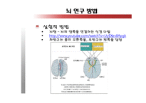 [언어의이해] 언어와 뇌, 그리고 실어증-20