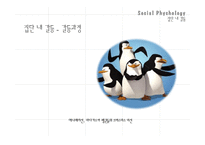 [사회심리학] 집단과정(집단내, 집단간 갈등)-4
