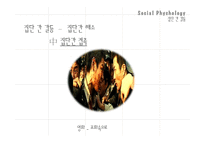 [사회심리학] 집단과정(집단내, 집단간 갈등)-11