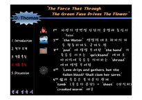[현대영국시] Dylan Thomas(딜런 토마스)-7