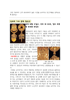 [한국미술사] 어린이를 위한 책 만들기(초등학생을 위한 신라 금속 공예)-16
