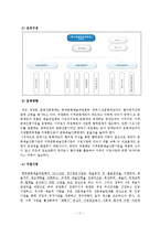 [무용제작법] 문화재단(무용수 지원을 중심으로)-11