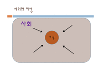 [영화분석] 영화 속에서 찾아볼 수 있는 여성의 젠더 문제(영화 아름답다와 페르세폴리스를 중심으로)-3