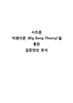 시트콤 `빅뱅이론(Big Bang Theory)`을 통한 갈등양상 분석-1