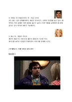 시트콤 `빅뱅이론(Big Bang Theory)`을 통한 갈등양상 분석-5