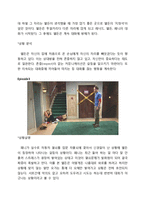 시트콤 `빅뱅이론(Big Bang Theory)`을 통한 갈등양상 분석-7