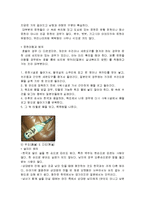 [국제매너] 일본문화와 에티켓-5