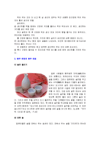 [국제매너] 일본매너와 예절, 금기-19