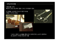 [복식사회심리] 명품을 통해 본 허영과 문화의 유행심리-12