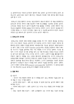 (A+ 레포트: 몬테소리 프로그램과 레지오 에밀리아 교육 프로그램) 유아교육 프로그램 중 2개를 선택하여 비교 설명하시오-2