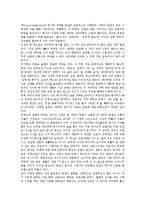 메시아(메시야)의미, 메시아(메시야)종교사상,구원사역, 메시아(메시야)연구, 메시아(메시야)이해, 메시아(메시야)비밀, 메시아(메시야)대가 분석-11