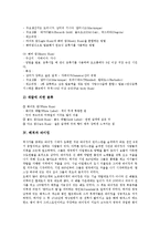 [해적][럼주][바이킹][해적 피해 사례][해적 피해 예방법]해적 규칙, 해적과 술(럼주), 해적과 바이킹, 해적 피해 사례, 해적 피해 예방법-6