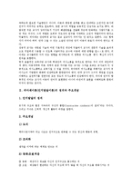 피아제이론(인지발달이론)정의,주요개념, 피아제이론(인지발달이론)기본원리,영향요인, 피아제이론(인지발달이론)과정,인지발달 내용,평가 분석-3