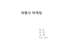 [관광]여행사 마케팅-1