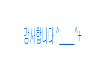 [관광]여행사 마케팅-13