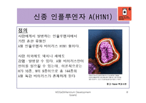 [국제관계] 에이즈와 말라리아 등 질병과의 전쟁-8