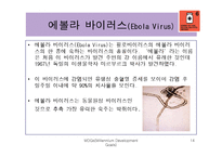 [국제관계] 에이즈와 말라리아 등 질병과의 전쟁-14