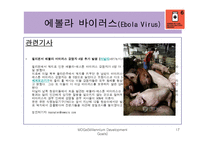 [국제관계] 에이즈와 말라리아 등 질병과의 전쟁-17
