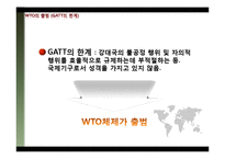 [국제무역론] WTO와 국제 경제-8