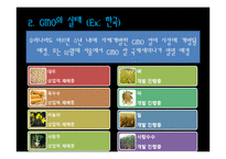 GMO식품의 실태와 개발 현황-9