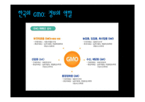 GMO식품의 실태와 개발 현황-10